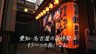 Nagoya Night View & Dining: After Work / 名古屋駅周辺の夜景とディナー:仕事帰り編