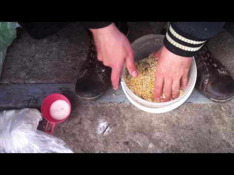 Видео о прикормке для карася Видео о прикормке для карася