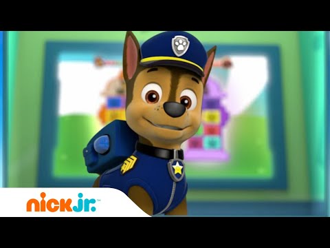 Paw Patrol - La Squadra dei Cuccioli | La PAW Patrol balla il Pup Pup Boogie! | Nick Jr.