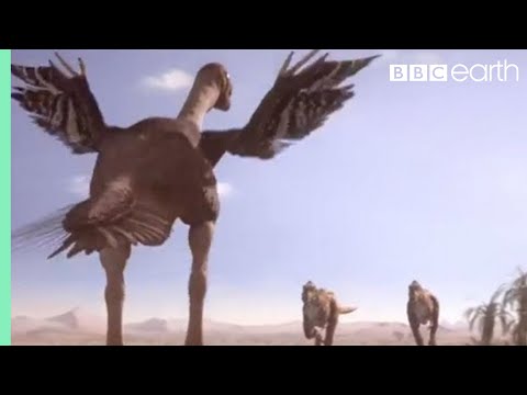 Oviraptorid fights to protect nest | Planet Dinosaur | BBC - UCwmZiChSryoWQCZMIQezgTg