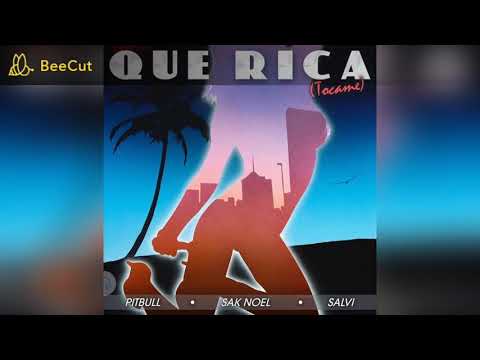 Sak Noel - Que Rica (Tocame)  ( feat. Pitbull  ) AUDIO