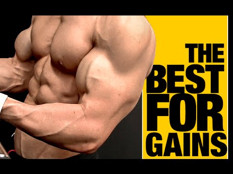 Which Biceps Curl is Best For Your Biceps (IT MATTERS!!) - UCe0TLA0EsQbE-MjuHXevj2A