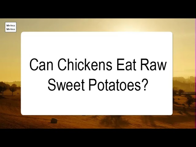 can-chickens-eat-sweet-potato-skins-hayfarmguy