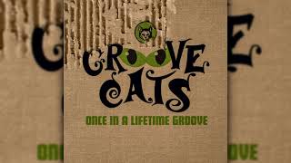 Groove Cats – Once In A Lifetime Groove [Remix]