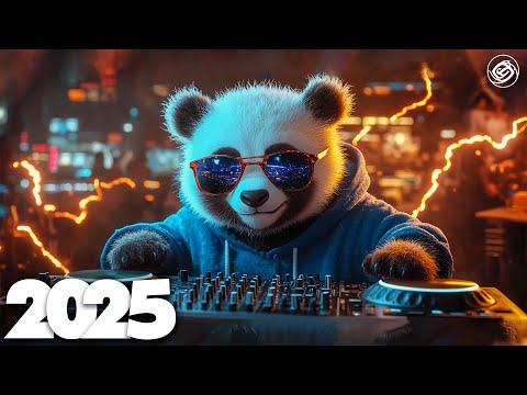 Best Music Mix 2025 🎵 EDM Mix of Popular Songs 2025 🎵 EDM Bass Boosted Music Mix 2025 #2
