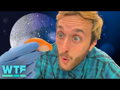 How to have your fish and eat it too - UCOmcA3f_RrH6b9NmcNa4tdg