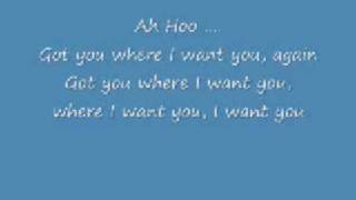 The fly - got you where I want you with lyrics
