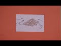 Digital Flipbook