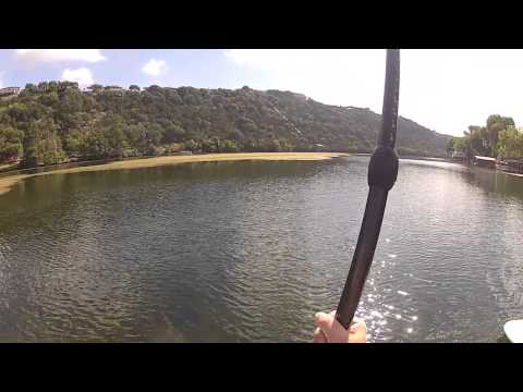 So much weed floating on Lake Austin - UCTs-d2DgyuJVRICivxe2Ktg