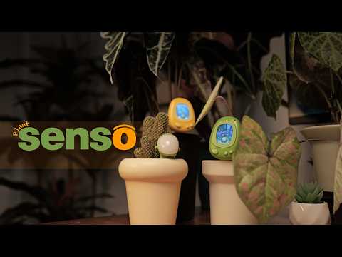 PlantSenso Smart Plant Sensor Review: We Find a Way to Understand Plants' Mood