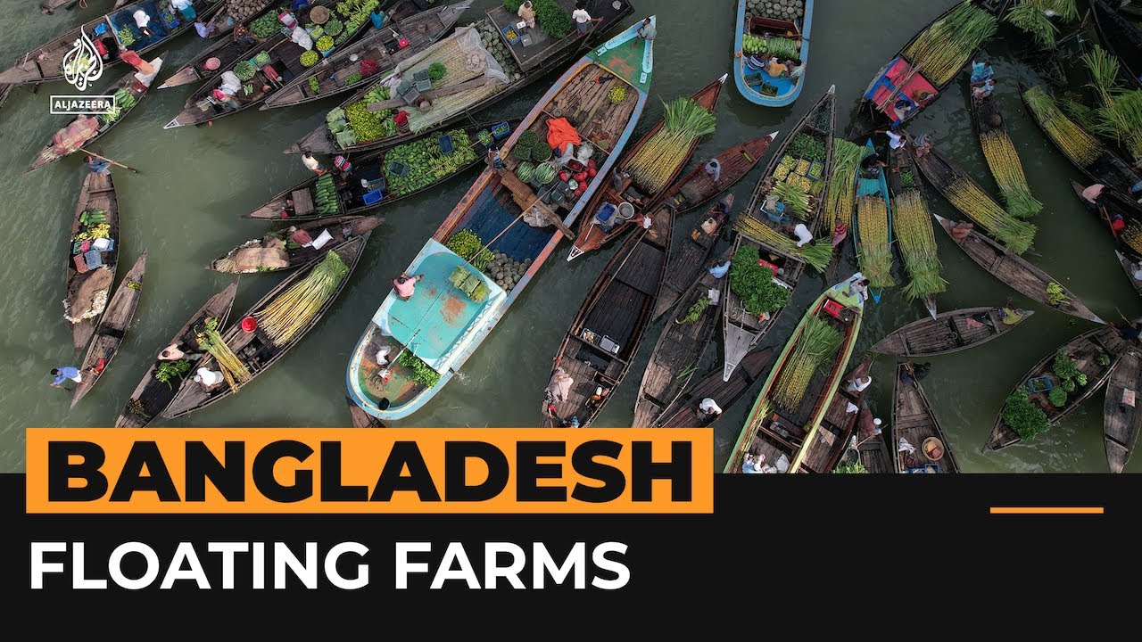Bangladesh farmers revive floating farms | Al Jazeera Newsfeed