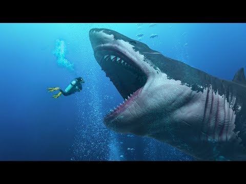 Did They Find an Alive Megalodon In the Mariana Trench? - UC4rlAVgAK0SGk-yTfe48Qpw