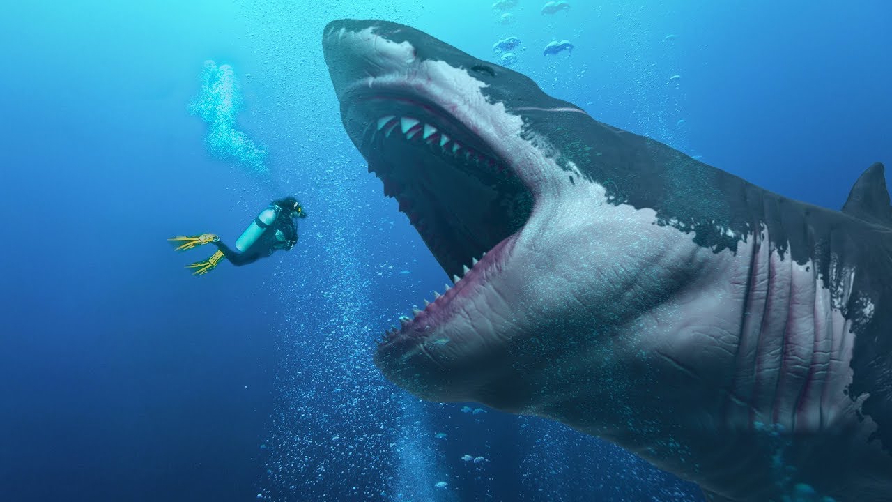 Did They Find an Alive Megalodon In the Mariana Trench? | FpvRacer.lt