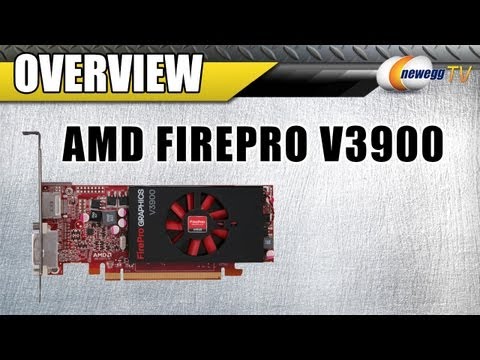 Newegg TV: AMD FirePro V3900 Workstation Video Card Overview - UCJ1rSlahM7TYWGxEscL0g7Q