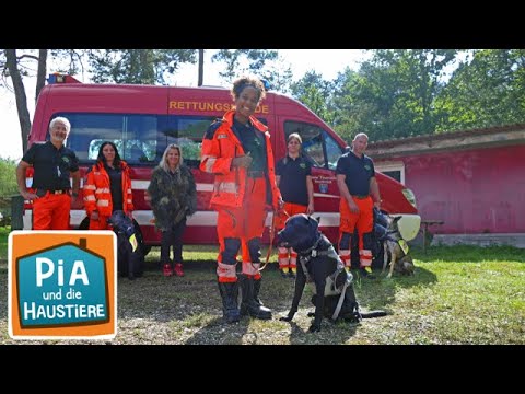 Ein Tag bei den Rettungshunden | Information für Kinder | Pia und die Haustiere SPEZIAL