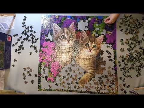 Puzzle Timelapse