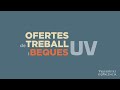 Image of the cover of the video;#ofertesUV i #beques, ara en les xarxes socials