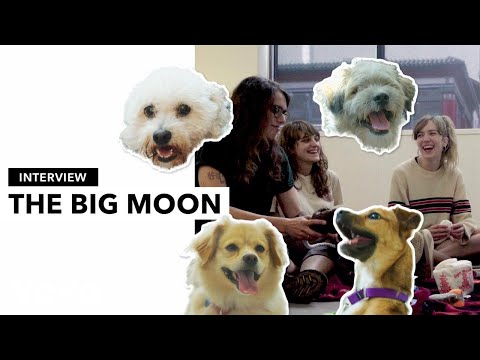 The Big Moon - Hanging with Doggies and The Big Moon - UC2pmfLm7iq6Ov1UwYrWYkZA