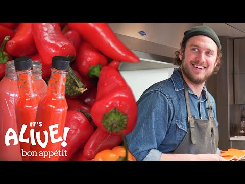 Brad Makes Fermented Hot Sauce | It's Alive | Bon Appétit - UCbpMy0Fg74eXXkvxJrtEn3w