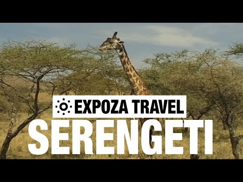 Serengeti (Africa) Vacation Travel Video Guide - UC3o_gaqvLoPSRVMc2GmkDrg