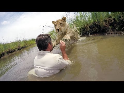 GoPro VR BTS: For the Love of Lions - UCqhnX4jA0A5paNd1v-zEysw