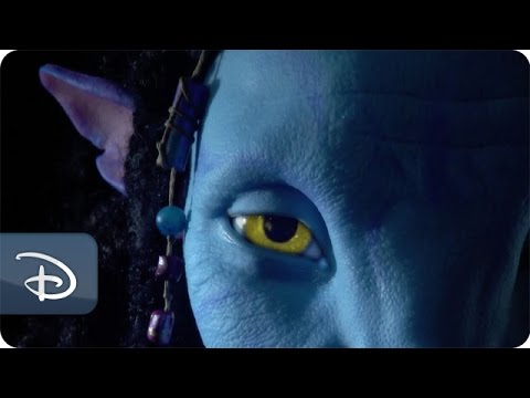 Behind the Scenes of Pandora: The World of AVATAR | Disney's Animal Kingdom - UC1xwwLwm6WSMbUn_Tp597hQ