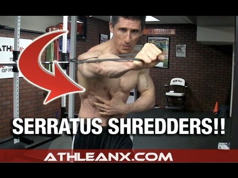 The FORGOTTEN Core Muscles Workout - Serratus Shredders! - UCe0TLA0EsQbE-MjuHXevj2A