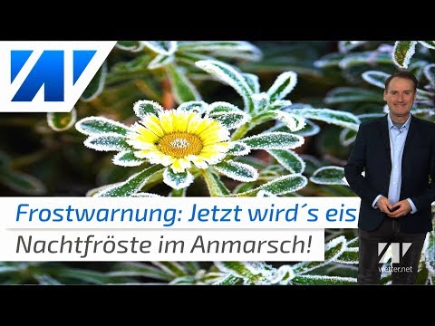 Blümchen-Alarm in Deutschland: Jetzt wird´s frostig!