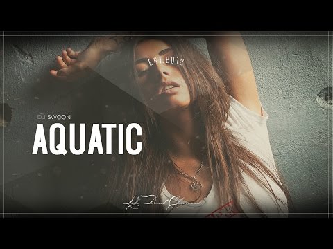 DJ Swoon - Aquatic - UCUavX64J9s6JSTOZHr7nPXA