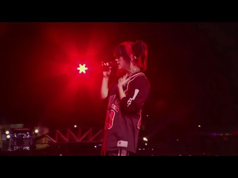 Billie Eilish | I Didn't Change My Number (Live Performance) Lollapalooza 2023