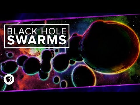 Black Hole Swarms | Space Time - UC7_gcs09iThXybpVgjHZ_7g