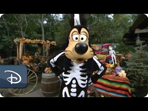 Halloween Time at the Disneyland Resort | Disney Parks - UC1xwwLwm6WSMbUn_Tp597hQ