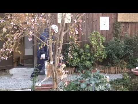 Kyoto part 4 - UCvW8JzztV3k3W8tohjSNRlw