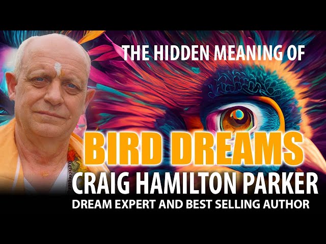 What Does It Mean To Dream About Birds?