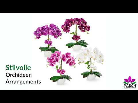 Künstliche Orchideen 40 cm im Hochglanz-Keramiktopf – Stilvolle Deko wie echt