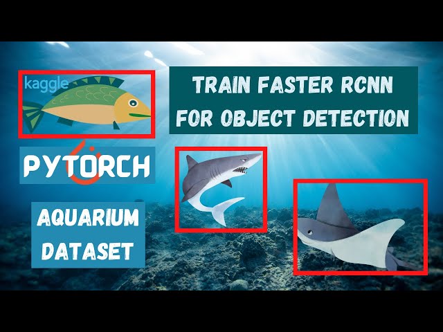 How to Train a Faster RCNN Model with Pytorch
