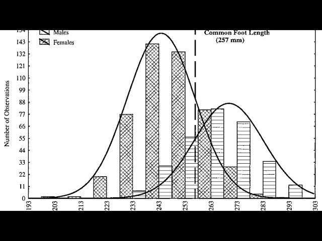 What is the Average Shoe Size for a Man?