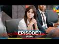 Goonj - Episode 1 - 21 July 2025 [ Komal Meer, Mirza Gohar Rasheed & Feroz Kadri ] - HUM TV