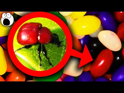 Top 10 Grossest Ways Your Food Is Made - UCkQO3QsgTpNTsOw6ujimT5Q