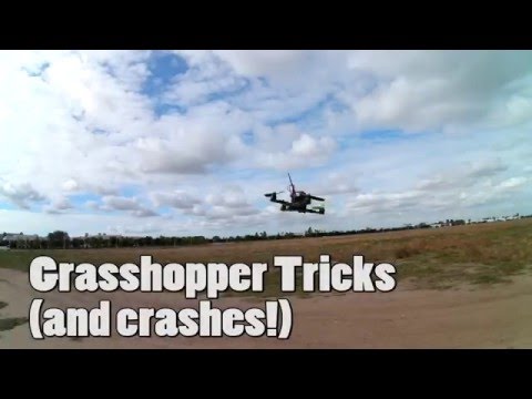 Grasshopper Tricks (and Crashes!) - UCnJyFn_66GMfAbz1AW9MqbQ