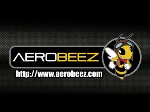 AeroBEEZ Planes AMA EXPO 2014 - UCtw-AVI0_PsFqFDtWwIrrPA