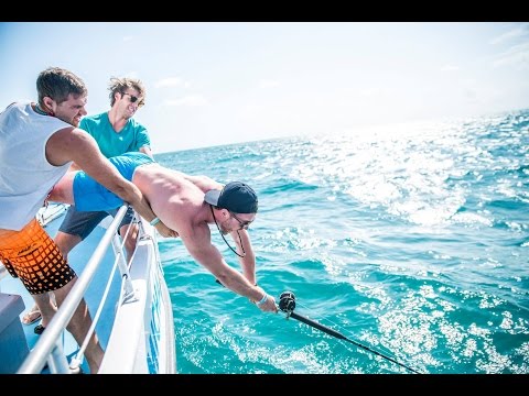 Catching Big Fish in the Keys - Great American Road Trip (Day 52) - UCd5xLBi_QU6w7RGm5TTznyQ