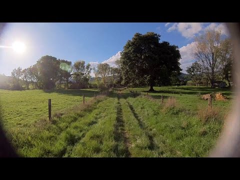 FPV practice (RunCam 3) - UCTXOorupCLqqQifs2jbz7rQ