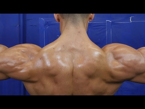 5 Exercises for HUGE Shoulder Gains - UCH9ciCUcWavMsFcAJtLUSyw