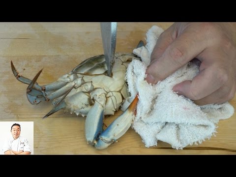 EXTREMELY GRAPHIC: Live Kill and Twice Cooked Blue Crabs - UCbULqc7U1mCHiVSCIkwEpxw