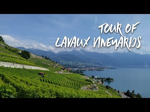 Lavaux, Vineyard Terraces Switzerland - UNESCO World Heritage Centre - UCxXqRGeCRCMgZaQIrAP03mw