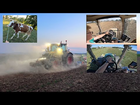 FarmVlog#188 - Silieren, Gülle ballern und staubiges Säen