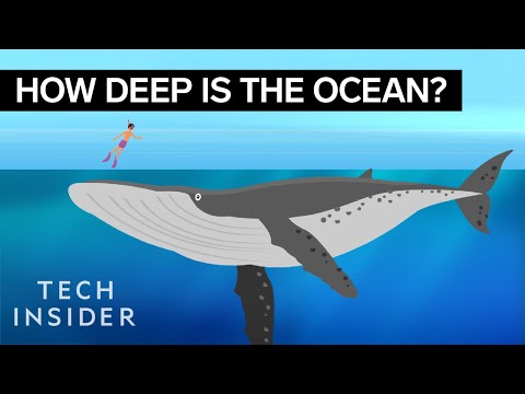 This incredible animation shows how deep the ocean really is - UCVLZmDKeT-mV4H3ToYXIFYg