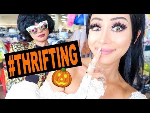 HALLOWEEN COSTUME THRIFT SHOPPING?! - UCrlcqlqYJV28LvH1iYgw4DA