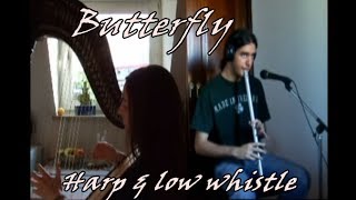The Butterfly - Harp & low whistle (with Ulli)